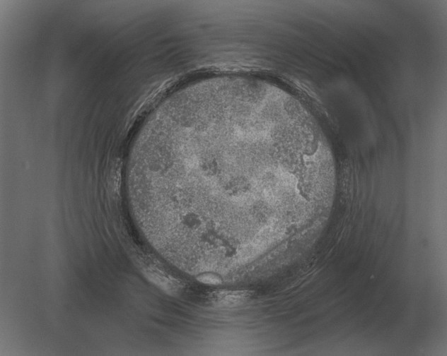 X0000080720495200701121847