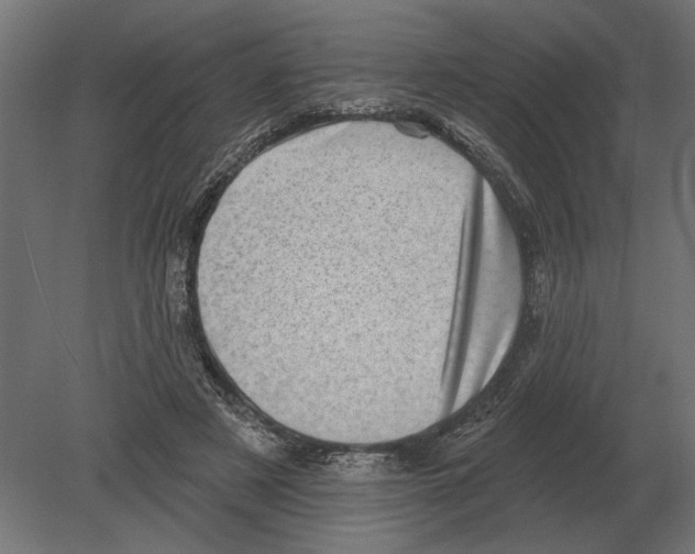 X0000080720497200701121847