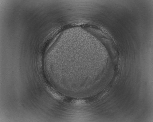 X0000080720501200701121847