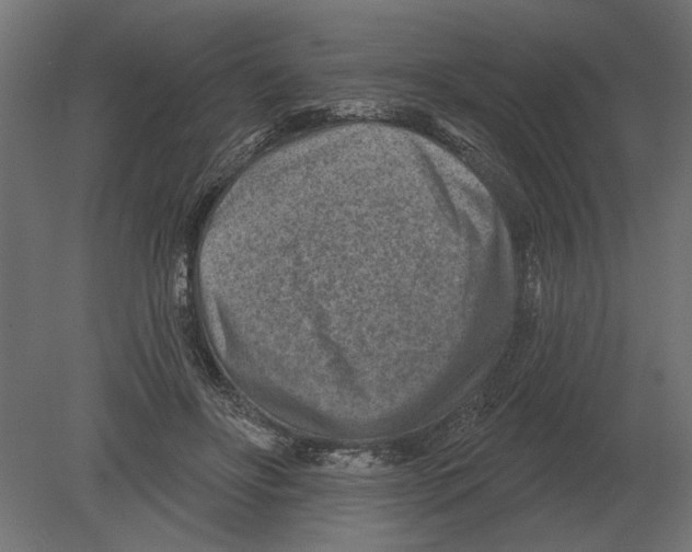 X0000080720502200701121847