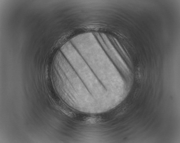 X0000080720504200701121847