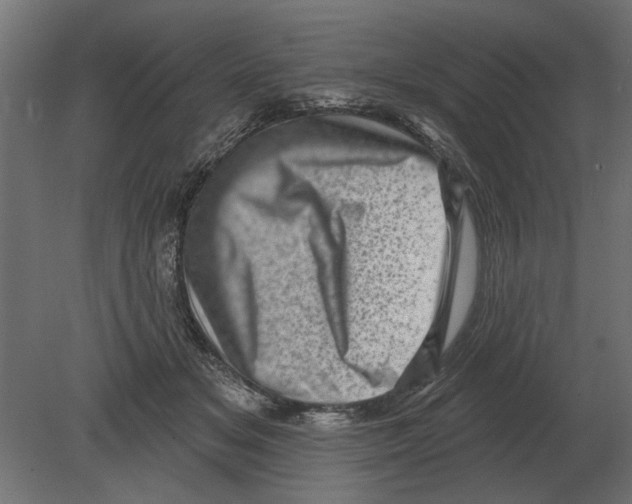 X0000080720509200701121847