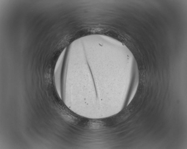 X0000080720510200701121847