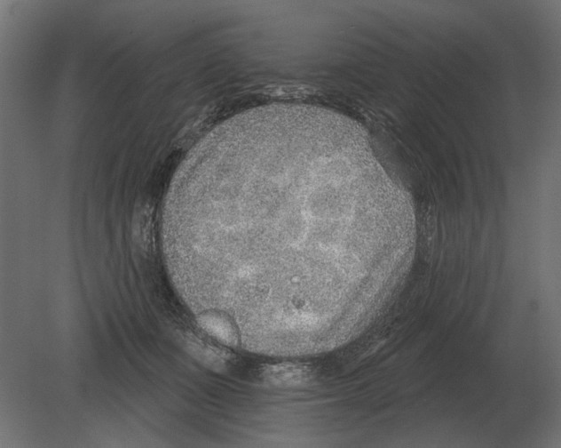 X0000080720511200701121847