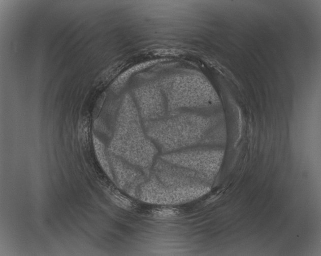 X0000080720513200701121847