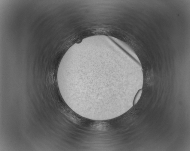 X0000080720514200701121847