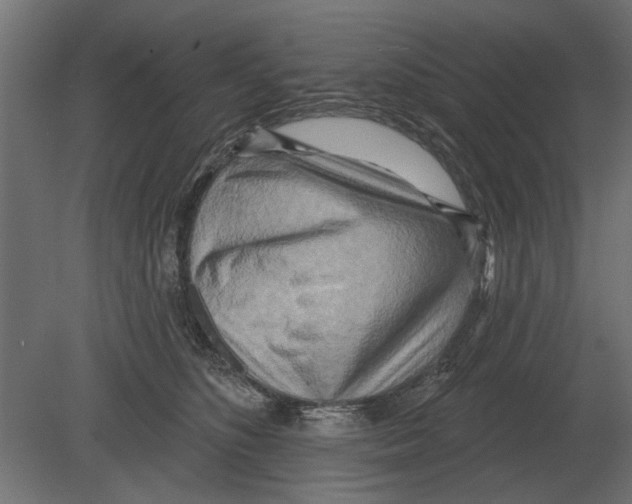 X0000080720516200701121847