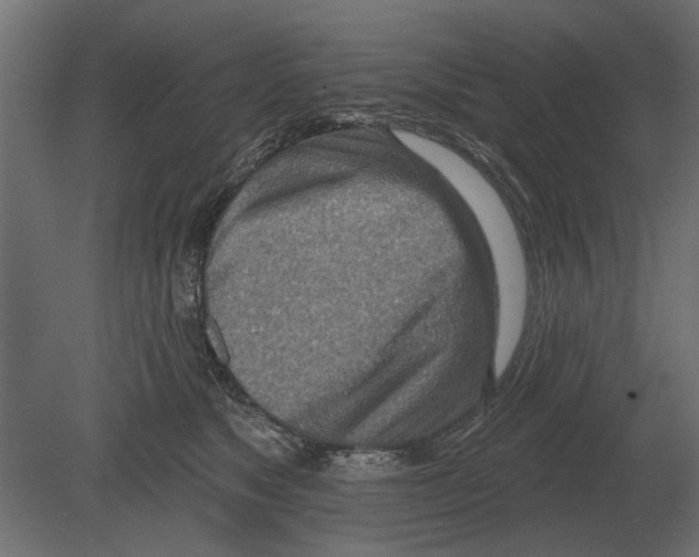 X0000080720517200701121847