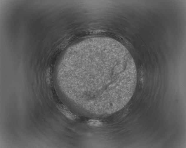 X0000080720519200701121847