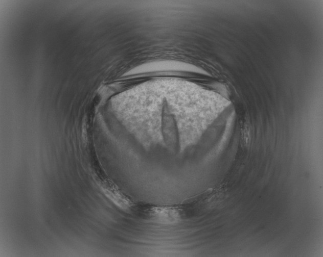 X0000080720520200701121847