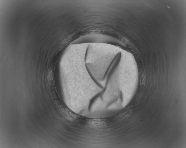 X0000080720521200701121847