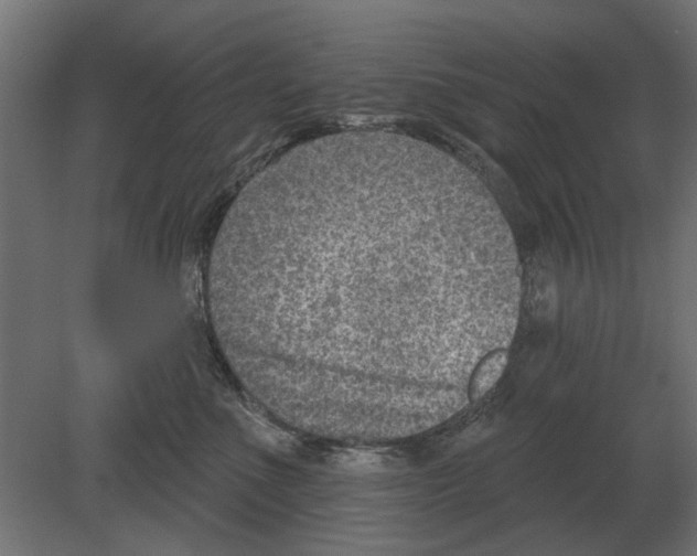 X0000080720523200701121847