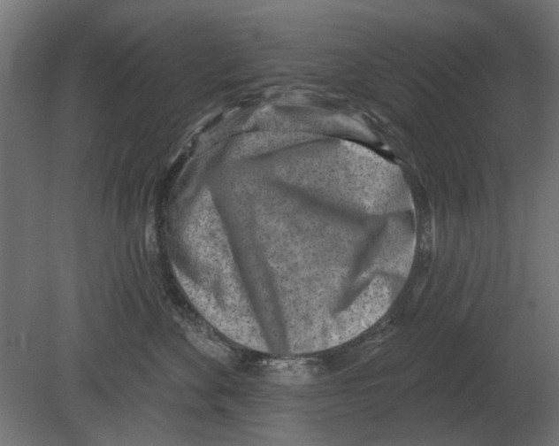 X0000080720524200701121847