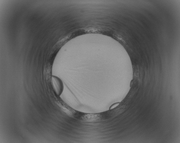 X0000080720526200701121847