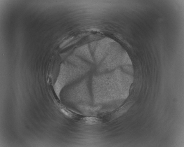 X0000080720528200701121847