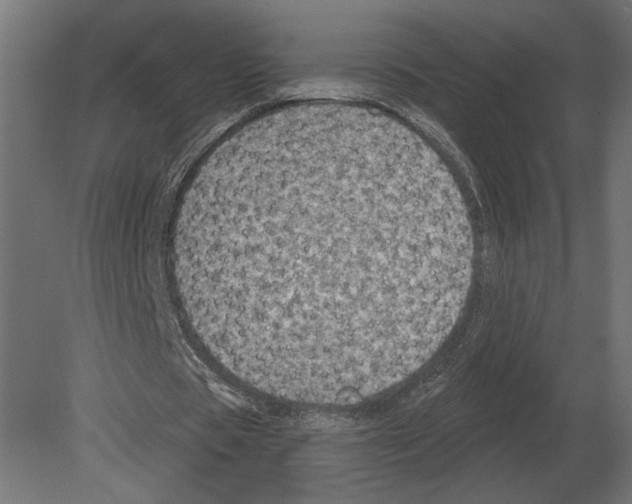 X0000080720529200701121846