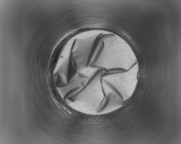 X0000080720532200701121846