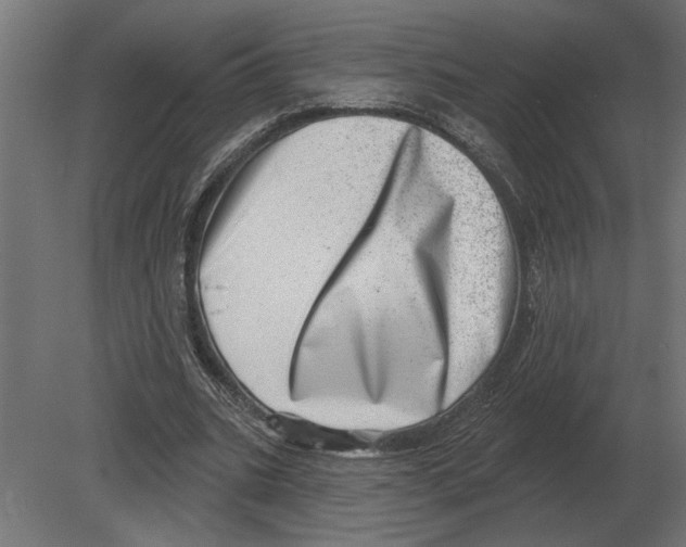 X0000080720535200701121846