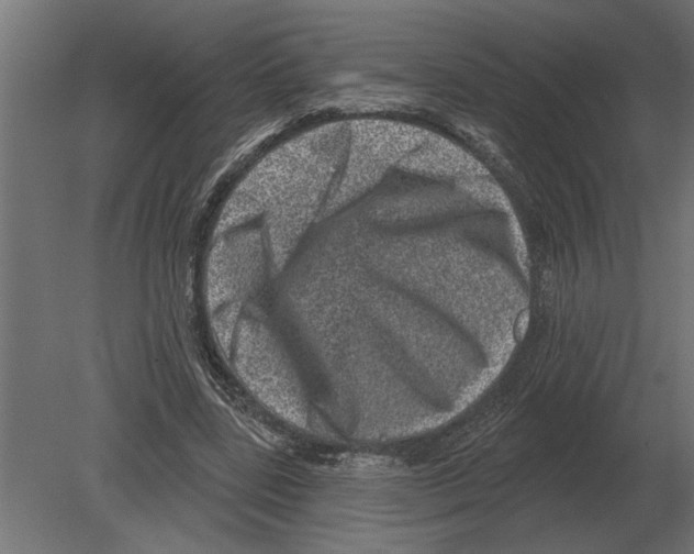 X0000080720539200701121846