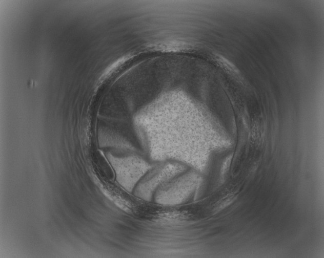 X0000080720540200701121846