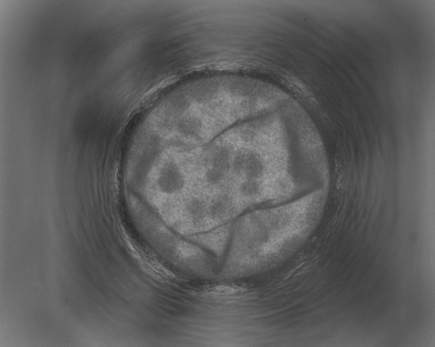 X0000080720542200701121846