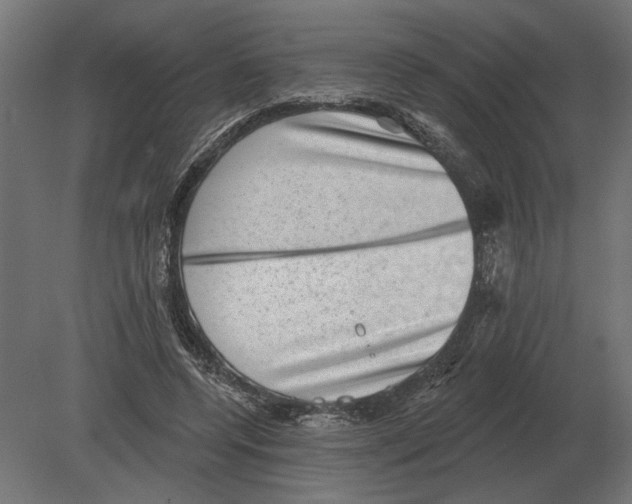 X0000080720544200701121846