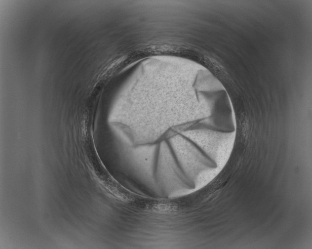 X0000080720546200701121846