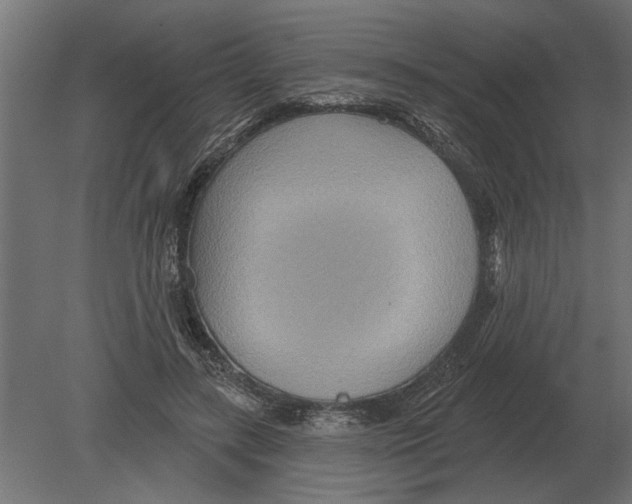 X0000080720547200701121846