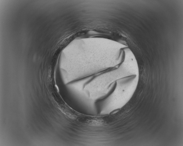 X0000080720548200701121846