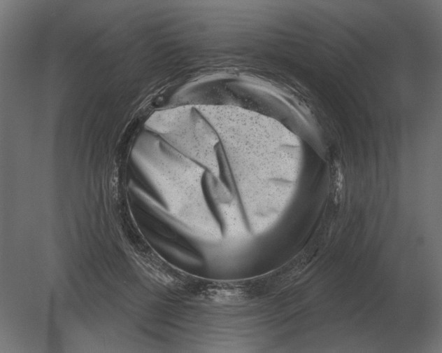 X0000080720552200701121846