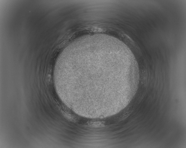 X0000080720553200701121846