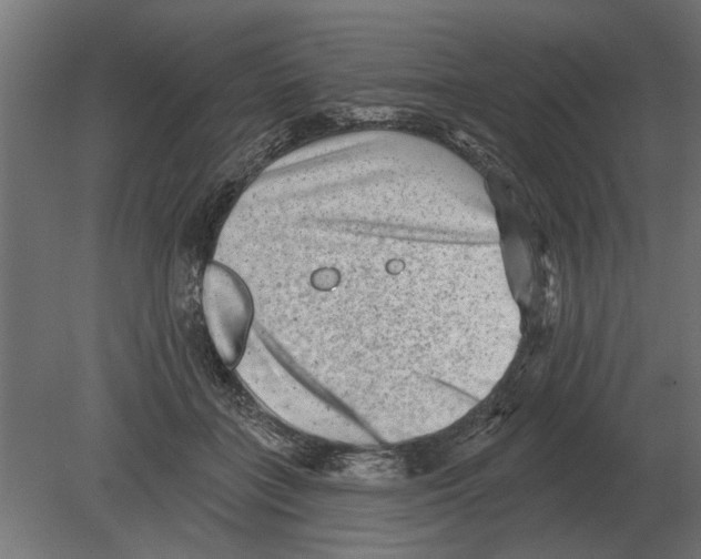 X0000080720555200701121846