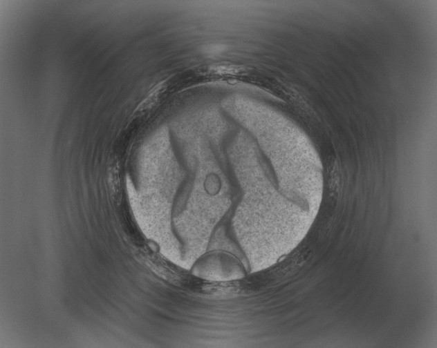 X0000080720559200701121846