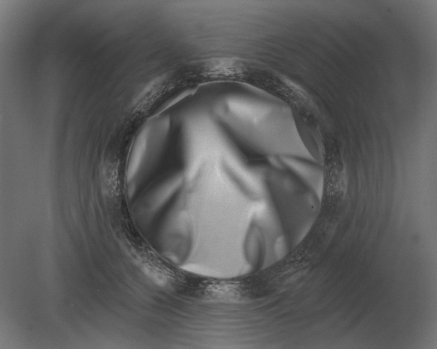 X0000080720560200701121846