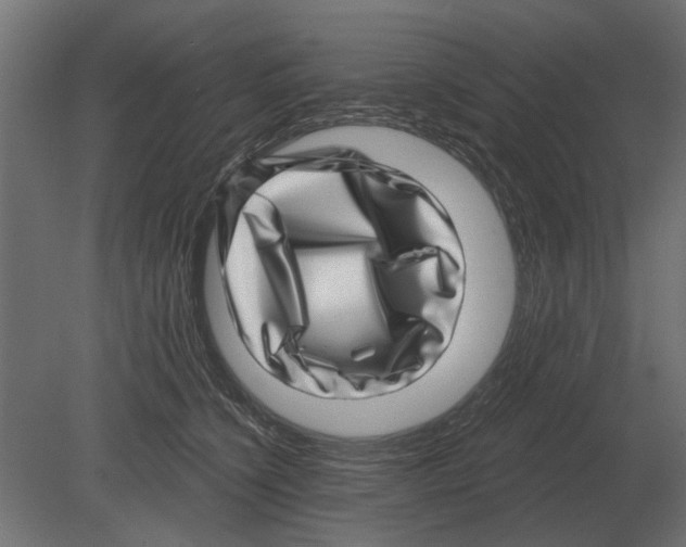 X0000080720564200701121846