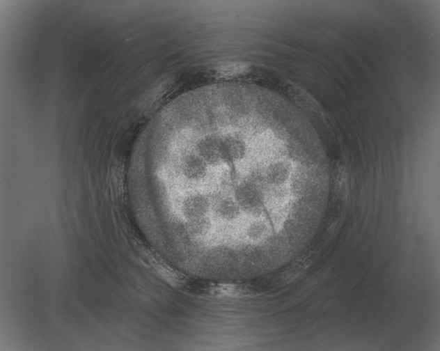 X0000080720565200701121846