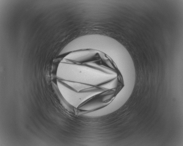 X0000080720566200701121847