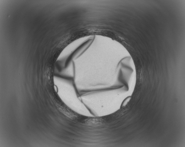 X0000080720567200701121847