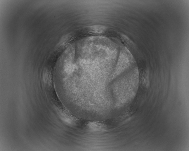 X0000080720568200701121847