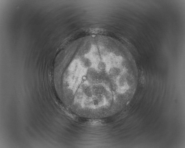 X0000080720569200701121847