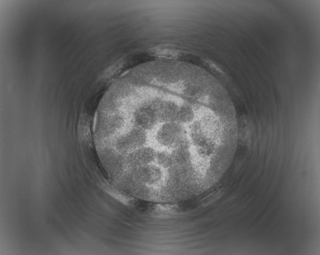 X0000080720573200701121847