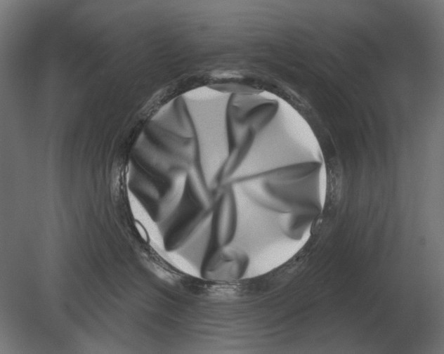 X0000080720574200701121847