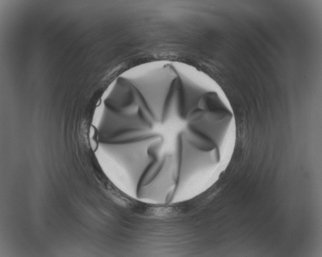 X0000080720575200701121847