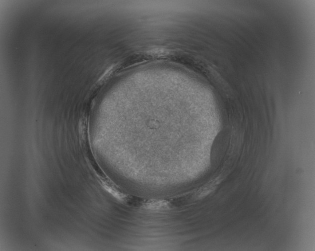 X0000080720576200701121847