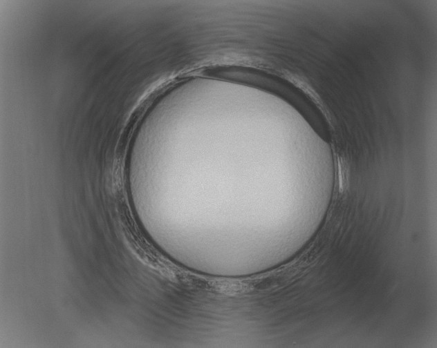 X0000080720579200701121846