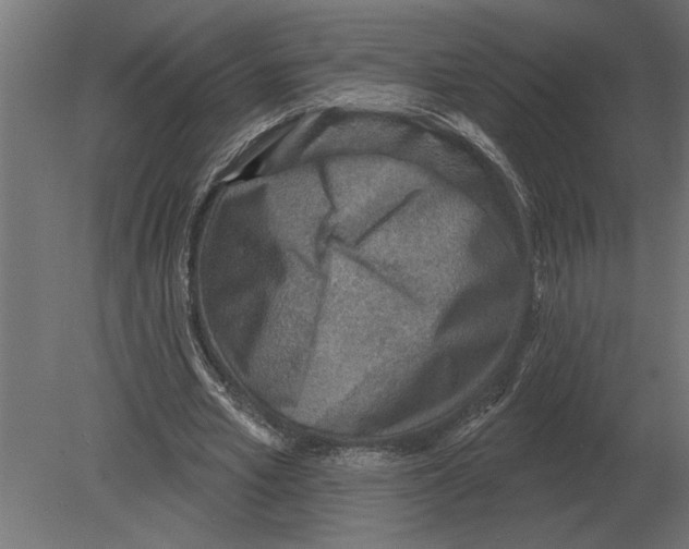 X0000080720581200701121846