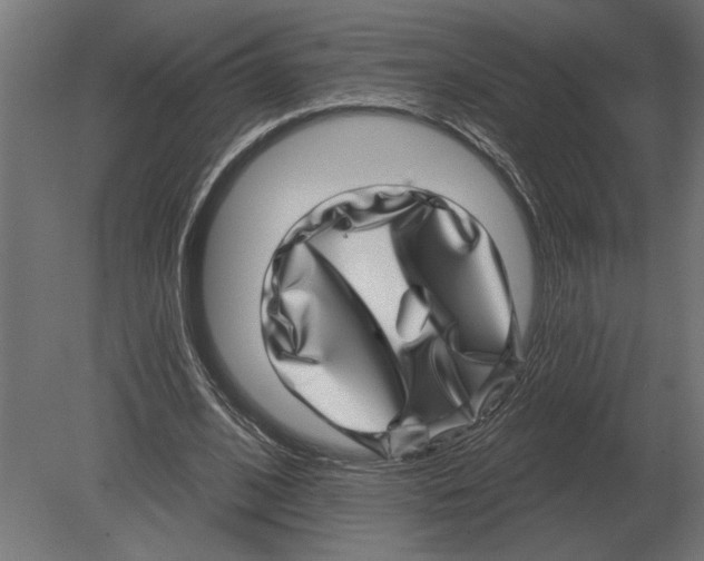 X0000080720584200701121846