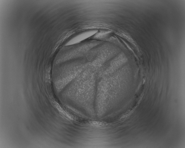 X0000080720585200701121846