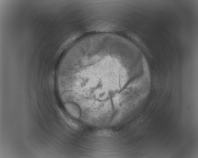 X0000080720586200701121846