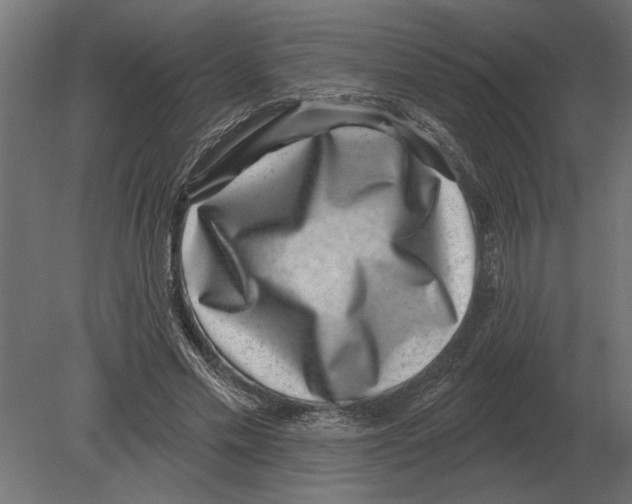 X0000080720589200701121846